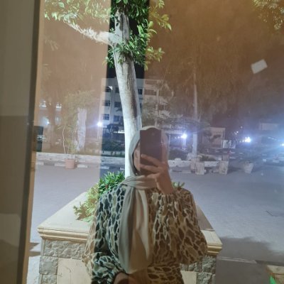 alaa__n15 Profile Picture