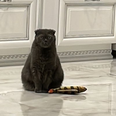 markiiato's profile picture. 