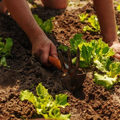 When I think of a farmer, I imagine someone who wakes up early in the morning and works hard all day long to cultivate crops or raise livestock.