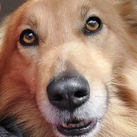 Spartacus (@googlaphobic) 's Twitter Profile