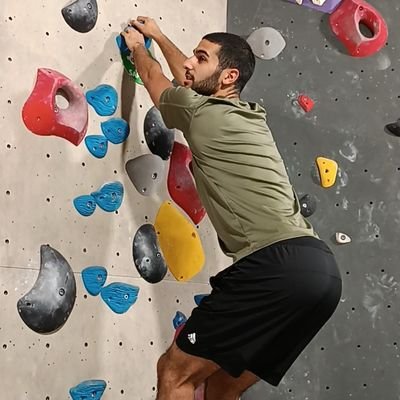 Roysify's profile picture. הפלטפורמה בבדיקה