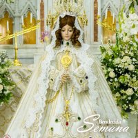 🌻🌿🌹isabelcova🌻🌿🌹 (@2025tere) 's Twitter Profile
