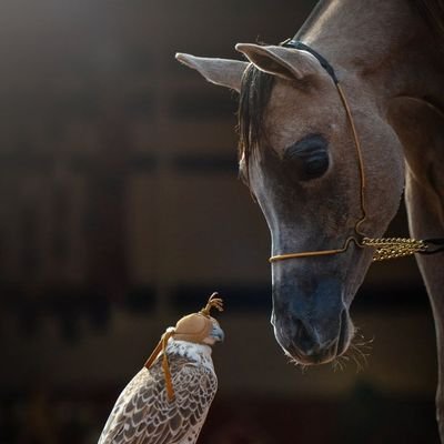 يُغالبني القلق، وتَغلبه رحمتك يا الله.🤍
صل على النبي 🌹🤍