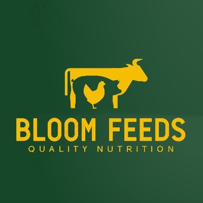 bloomfeeds Profile Picture