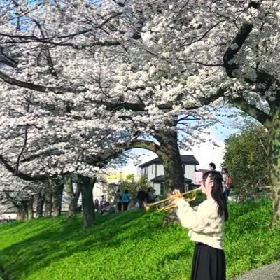 yuka225_tp's profile picture. 東京音大付属高校3年 見習いソリスト🎺
