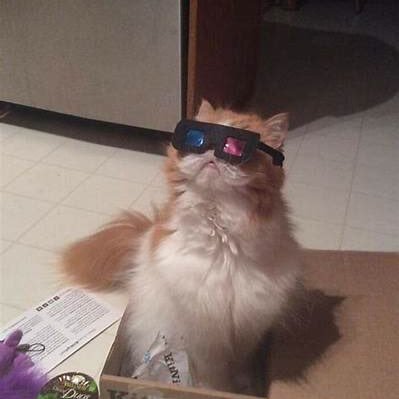 masonNHuntBeach's profile picture. i sometimes feel bad for those who follow me on here—- cuz it is mostly about radio, cats, music, and baseball