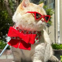 avokadolupopkornn (@tarottcunuz) Twitter profile photo