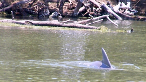 verum_libertas's profile picture. Don’t hear, listen. Don’t speak, communicate. Geek, Type 2 Diabetic. Think for yourself but trust experts. Hobbies: Reading, video games, cooking, politics.