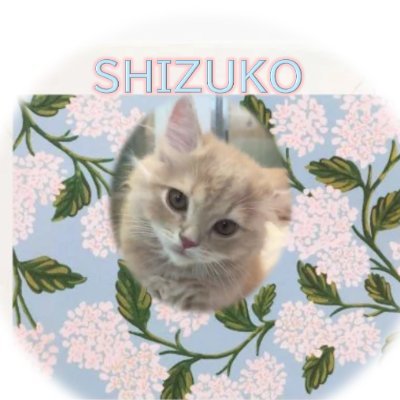 9MrrsV7xjy80937's profile picture. 手帳や筆記具など、文房具が大好きです❤️
仕事中心の日々の中でも、音楽、映画、本、アート、空の観察、お茶の時間、花や緑のある暮らし、香り、仏像鑑賞など、自分の「好き」を求めて、ゆったりとした時間を持つことも心がけています✨