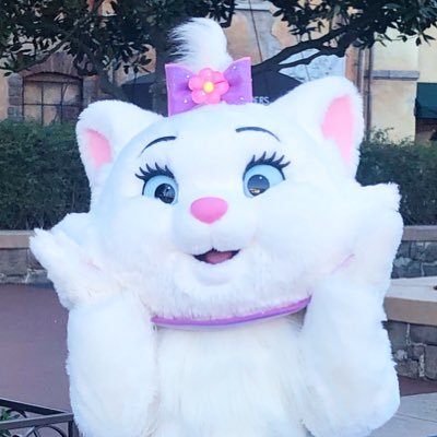 如恵留くんがすき🐈🤍現場はゆる〜くマイペースに。