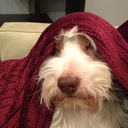 Mitchell Reber - @Mreber1 - Twitter