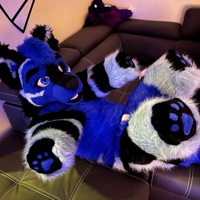 We make Fursuits of all types specializing in Bitchsuits, Sona Cloaks & more! DM or email TheSwitchStitch@gmail.com for inquires  to get your commission started