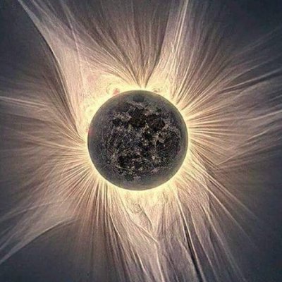 jdominguezisaza's profile picture. Living Systems