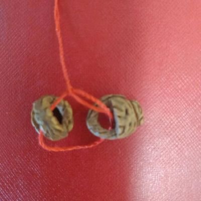 xixn311534's profile picture. 