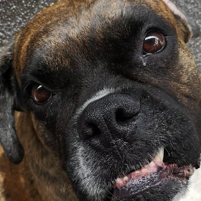 maharbaisc's profile picture. 
