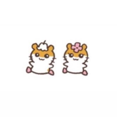るるもさんのプロフィール画像