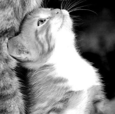 terryDn09's profile picture. عمیقاً گرفتار قهوه،قمار، کتاب و عقربه‌های عقیمِ ساعت
 صرفا برای اینکه فکر کنم مشغولیت دارم
Pain