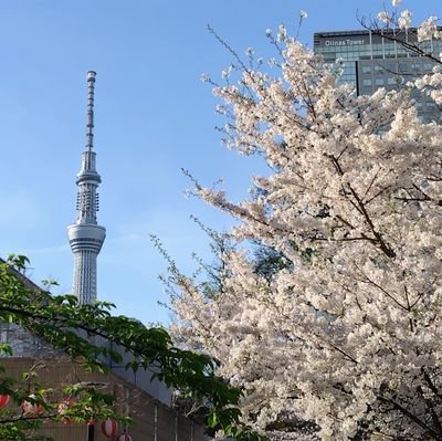 北海道生、千葉県柏市と道内各地+横浜を経由して、 川崎市在住😅
競輪(古性、園田、東口、眞杉、山田庸、寺崎、鷲田、町田、志田)、🍺党、🍜(醤油系、味噌系、鶏白湯)💓無言フォロー🙇‍♂️🙇‍♂️右寄りだけど左右どちらも極端過ぎて疲れるので中道のつもりで生きてます