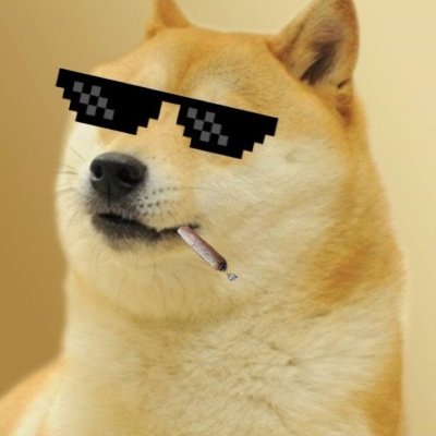 Doge 69.0 CTO official account🚀🚀🚀 Join our telegram https://t.co/q4p5GC6anb CA:7nK4CYDXxMuSiYTyGsvNhGDktKSXSQjL7b6m5t6sb4fW