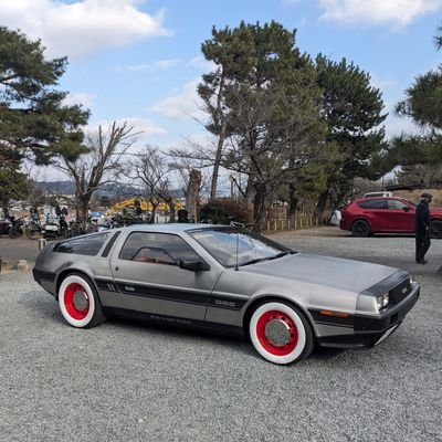 Time Traveler（デロリアン乗り⦿AndroidAutoCar→5/4〜渡米中✈さんのプロフィール画像