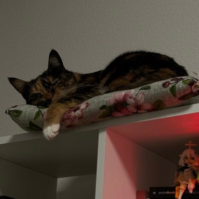 savvlo12357's profile picture. 