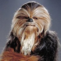 CRYPTOWOOKIE (@thecryptowookie) 's Twitter Profile Photo CRYPTOWOOKIE (@thecryptowookie) 's Twitter Profile Photo