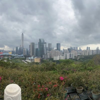 DanielWaha1999's profile picture. 