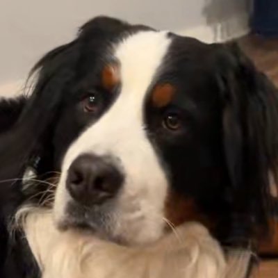 prev Profile