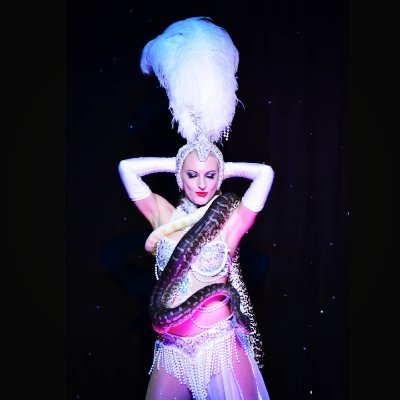 Flavella L'Amour: South Australia's most spectacular serpent dancer. Flavella is guaranteed to bring the wow factor to any occasion.   https://t.co/bDb6pol1nj
