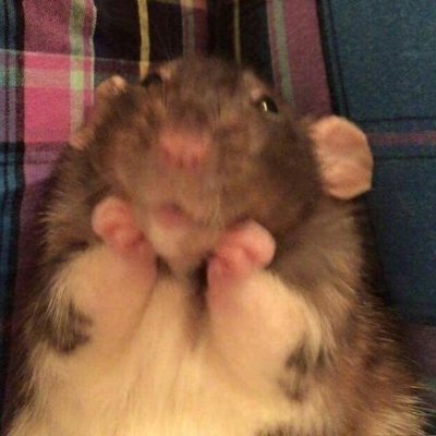 I0021548's profile picture. 28 lurker