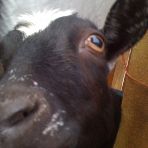 nukethewhales95's profile picture. 