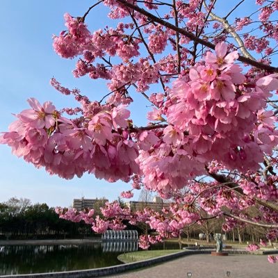 羽生結弦選手の夢の旅路がいつまでも続きますように