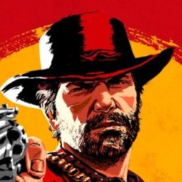 Daily Pictures in Red Dead Redemption 2

DM for submissions