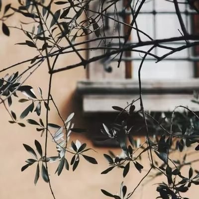 DengQiaozh33547's profile picture. 