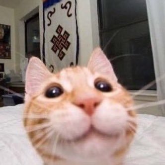 VickyDoLavrado's profile picture. 