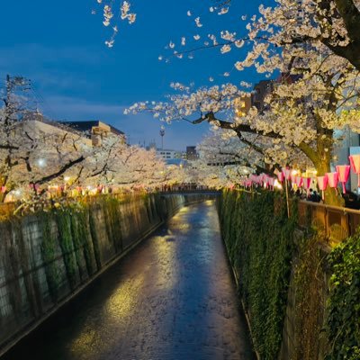 五等分の花嫁好きです(*´ω`*) ちなみに推しは五等分の花嫁の五月ちゃんです(*´ω`*) アニメのラブコメ系とかよく観ます(*^_^*)