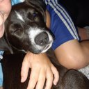 Troy Denton - @troy_dento99938 - Twitter