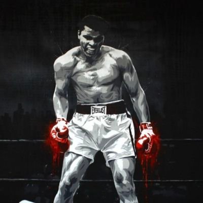 Don't count the days make the days count.-Muhammad Ali