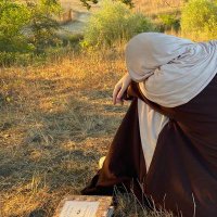 نِهاَلْ مُحبْ (@nehal_moheb) 's Twitter Profile