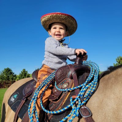 love my husband, kids and grandson and my horses.  my dachshunds hate trump