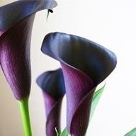 coco (@coco10230403) 's Twitter Profile