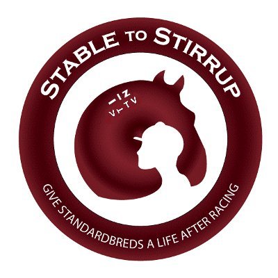 Stable to Stirrup is a registered New Zealand charity established in 2019 to create an alternative option for standardbred horses when they retire from racing.