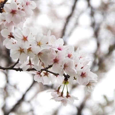 一眼レフ初心者🏞️🌸写真好きと繋がりたい^-^
愛用カメラ【ペンタックスK30】