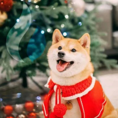 CeoOkx's profile picture. 
