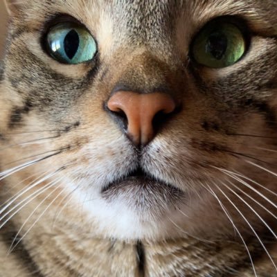 Ry1987Nights's profile picture. 