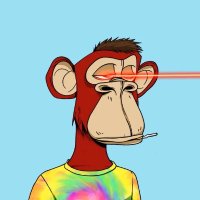 Fried (@shittycoinsol) 's Twitter Profile