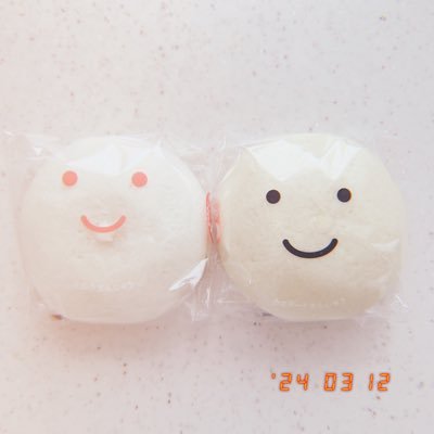 apr_brownies's profile picture. 4月生まれの妖精さんとの暮らしています𖠿𖢔꙳ 十五夜で作って余った餅くらいの気持ちで生きています。