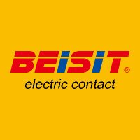 Beisit(@Beisitelectric) 's Twitter Profile Photo