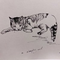 SIESTA🐈 sⁱᵉˢtᵃ sᵢₑₛtₐ ✨🐰 (@siesta0001) 's Twitter Profile