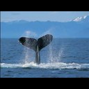 Desmond Good - @DesmondGood - Twitter